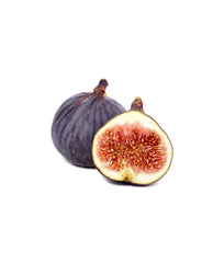 Common Fig