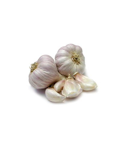 Garlic Organic