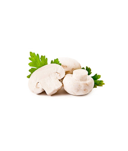 Field Mushrooms