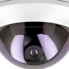 Cam Wireless Dome Camera