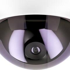 Cam Wireless Dome Camera