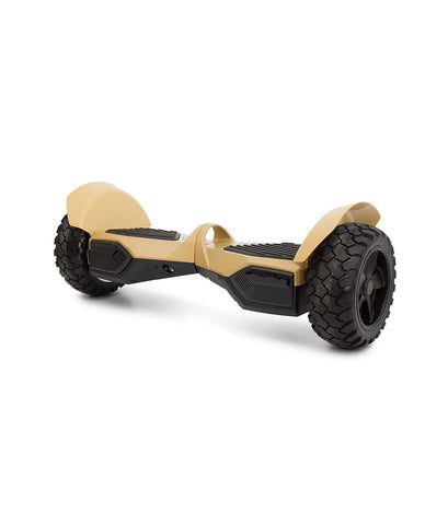 Easy Carry Electric Scooter