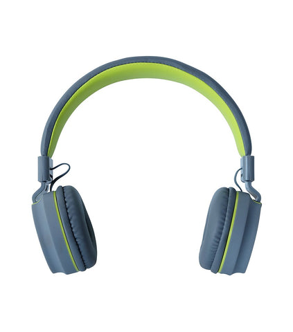 HP Noise Isolated Headset